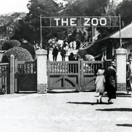 The Zoo