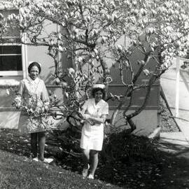 Wellington Hospital nurses