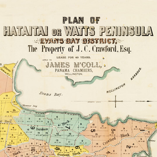 Plan of Hataitai or Watts Peninsula (Miramar, 1879)