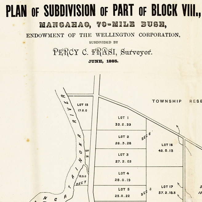 Plan of Subdivision of part of Block VIII, Mangahau (Pahiatua, 1885)