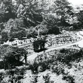 Rose Gardens at Newtown Park 
