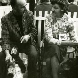 Dog show at the Wellington Show Buildings