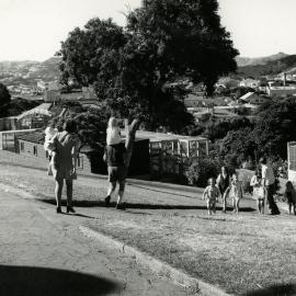 Wellington Zoo, Newtown