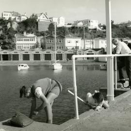 Clyde Quay Boat Harbour, Oriental Bay