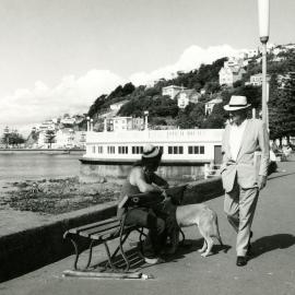 Oriental Bay 