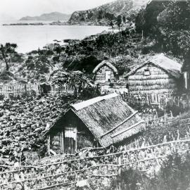 Raupō whare, Karaka Bays