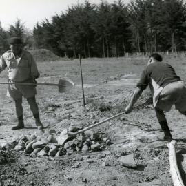 Preparing a  hāngī, Ōtaki