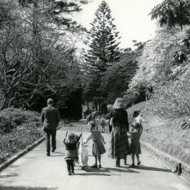 Wellington Botanic Garden