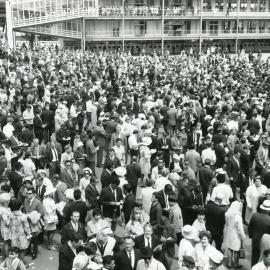 Crowds at Trentham Racecourse