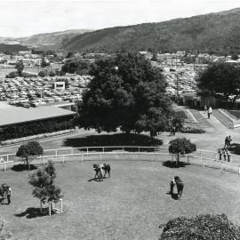 Wellington Racing Club