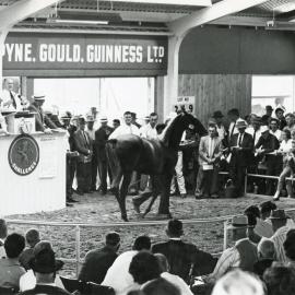 National Yearling Sales 1962