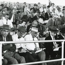 Buyers at yearling auction
