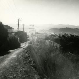 Pearce Street, Vogeltown