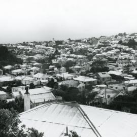 Snow in Karori, 1976