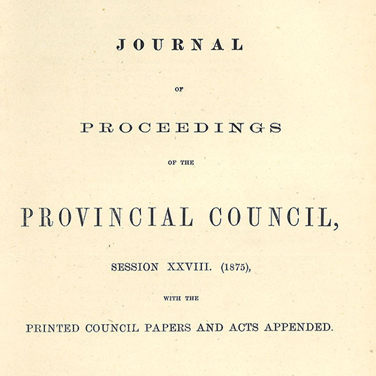 Wellington Provincial Council Proceedings, Session 28 (1875)