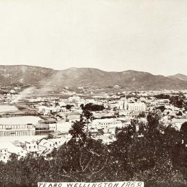 Te Aro, 1868