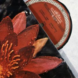 Library vinyl collection