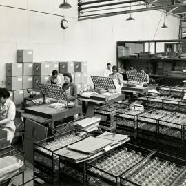ZELMA packing department