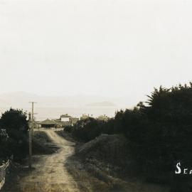 Falkirk Avenue, Seatoun