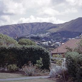 Ngaio
