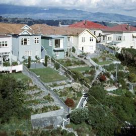 Houses on Springfield Terrace and Kelburn Parade 