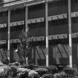 Wellington Polytechnic, Wallace Street, Mt Cook 