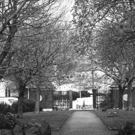 Fitzherbert Terrace Gardens, Thorndon