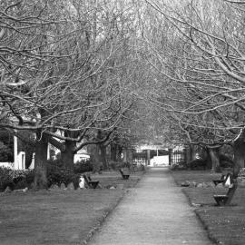 Fitzherbert Terrace Gardens, Thorndon