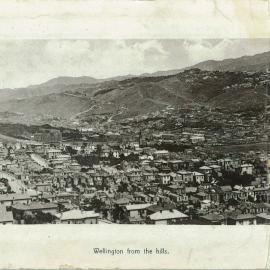 Wellington from the hills