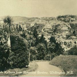 Looking towards Kelburn from Botanical Gardens, Wellington. N.Z.