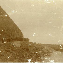 The Whale at Lyall Bay