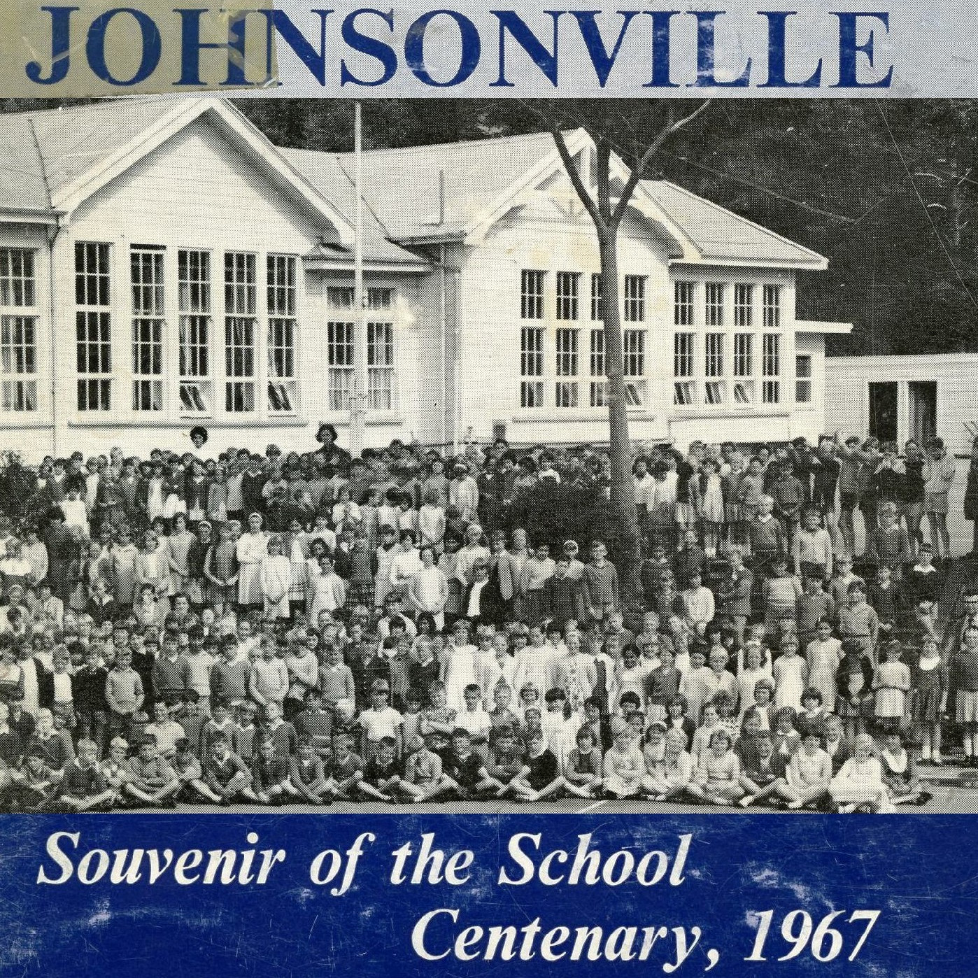 Johnsonville : the School and the District