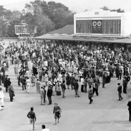 Horse racing at Trentham