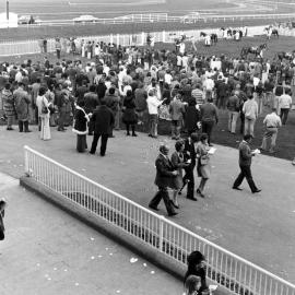 Horse racing at Trentham
