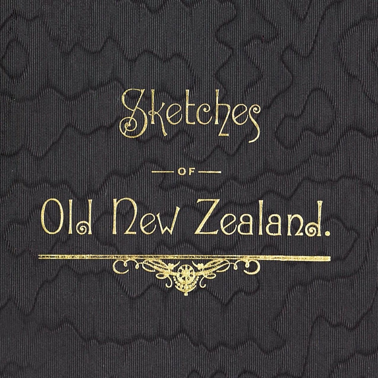 Sketches of Old New Zealand