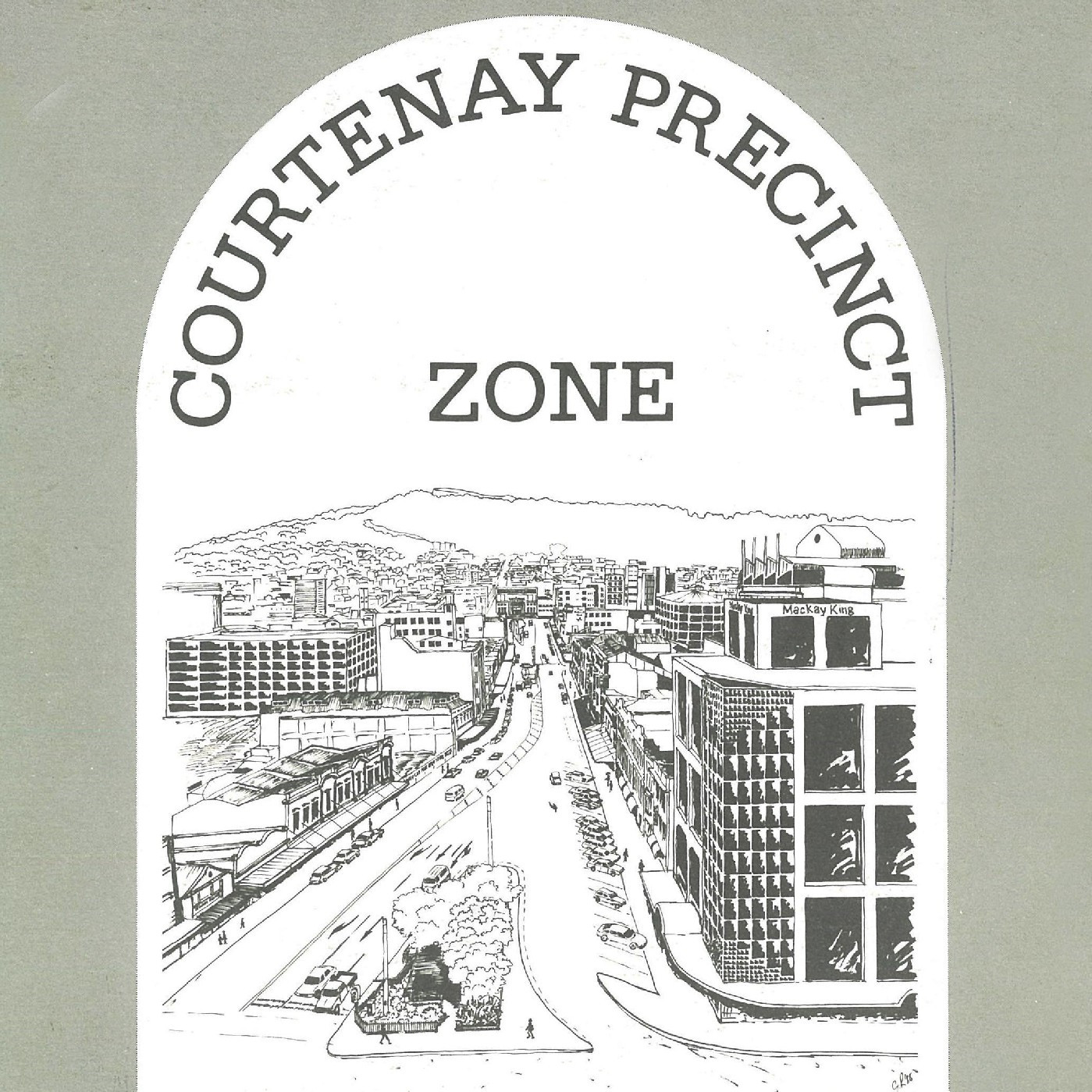 Courtenay Precinct Zone Design Guide