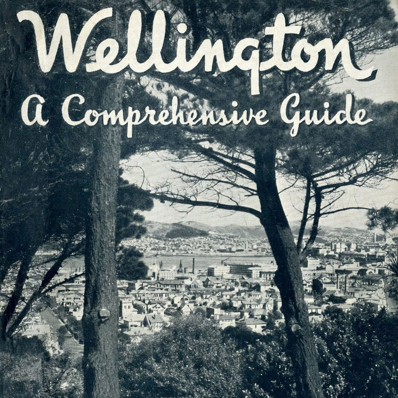 Wellington, a comprehensive guide : the capital city of New Zealand