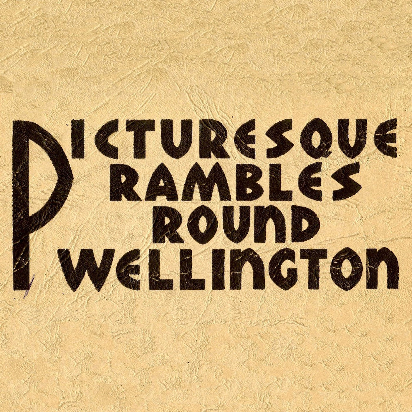 Picturesque Rambles Round Wellington