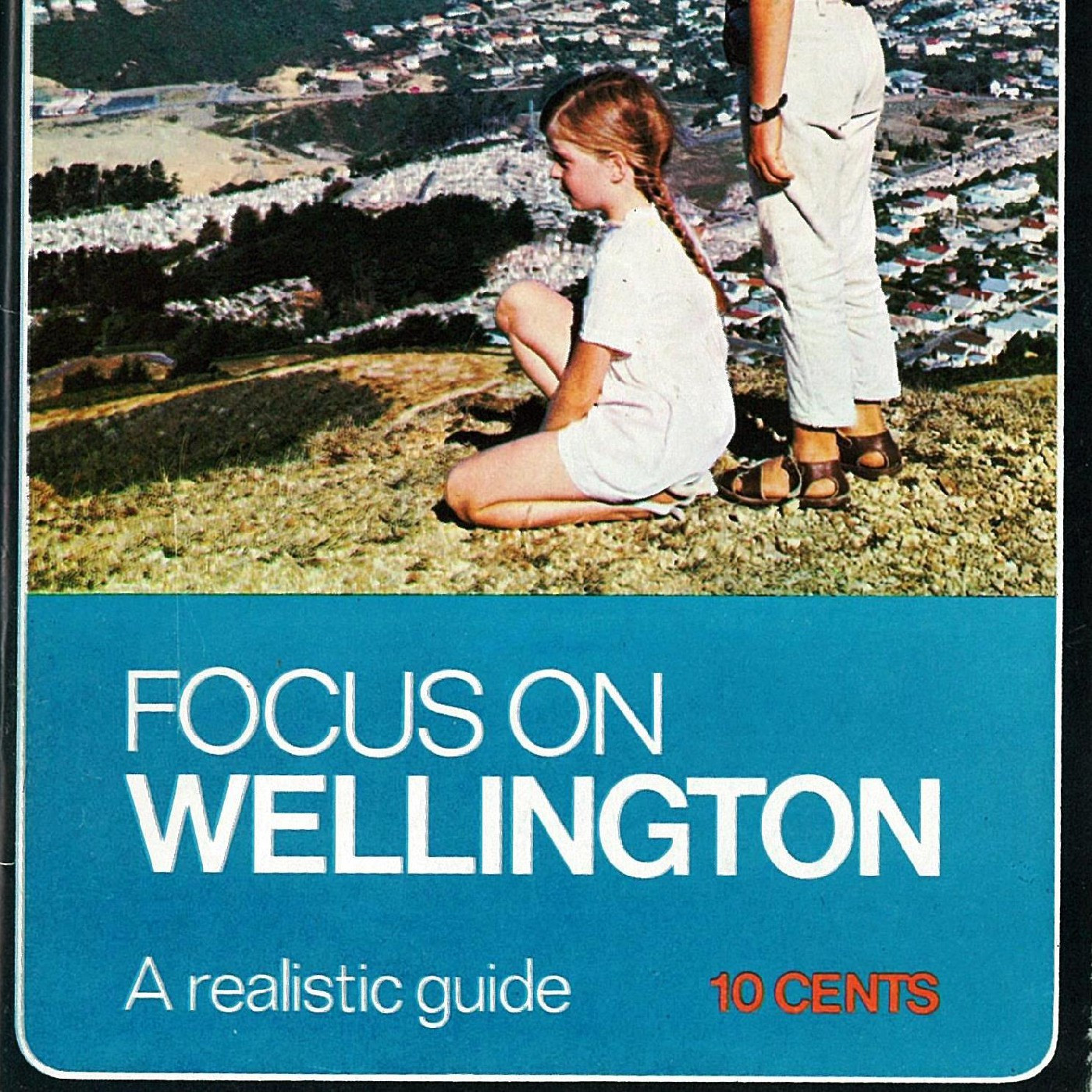 Focus on Wellington : a realistic guide 