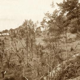 Days Bay, Eastbourne