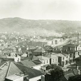 Te Aro from Mt Victoria