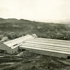 Winter Show Buildings, Newtown