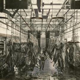 Wellington Municipal Abattoir, Ngauranga