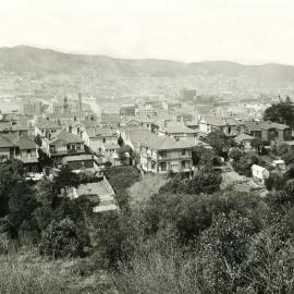 Te Aro as viewed from The Terrace