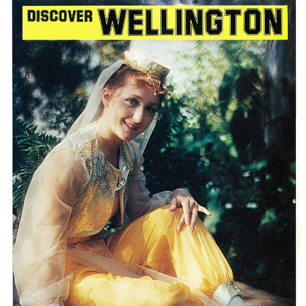 Discover Wellington : Your Gateway to New Zealand