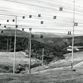 Feedlines from aerial arrays at the Makara Radio receiving station