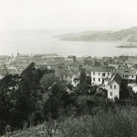 Wellington City and Harbour