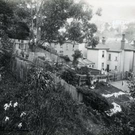 Backyards in Sydney Street