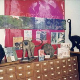 Children's Library display