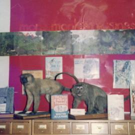 Children's Library display